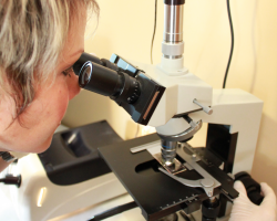 Live Blood Cell Analysis Course Live Blood Cell Analysis Course with Jane Durst Pulkys